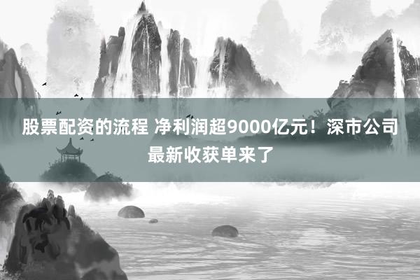 股票配资的流程 净利润超9000亿元！深市公司最新收获单来了