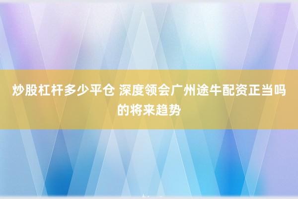 炒股杠杆多少平仓 深度领会广州途牛配资正当吗的将来趋势